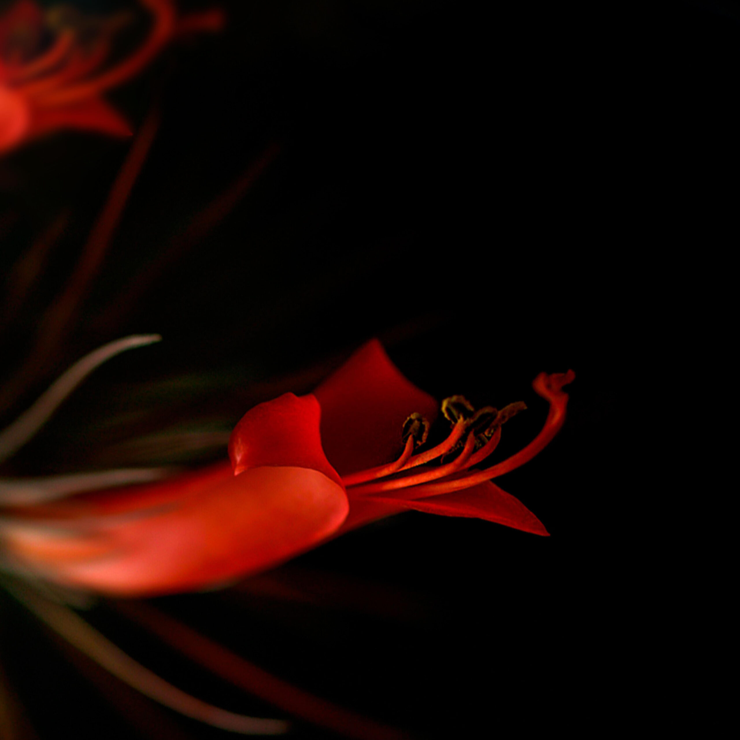 最佳生命周期管理